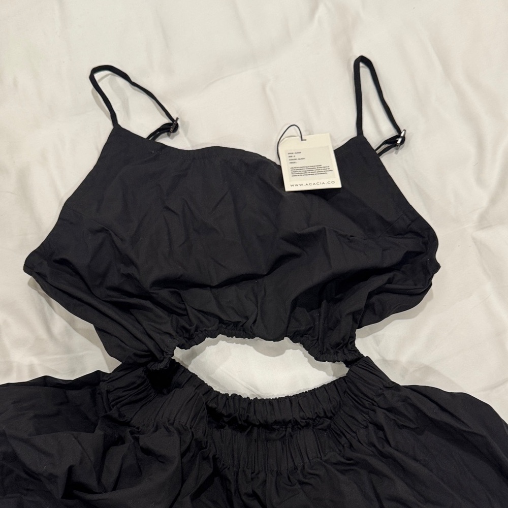 Acacia caucus s black nwt